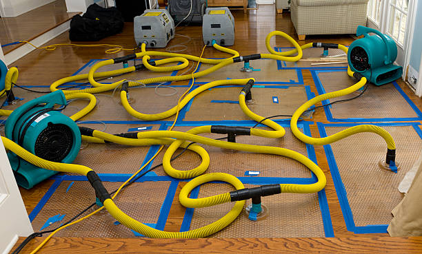 Professional Basement Flood Cleanup technician working in Wildwood, GA